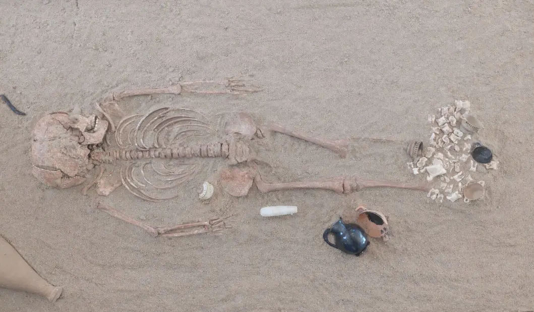 Izložak kostura i predmeta u muzeju u Sozopolu