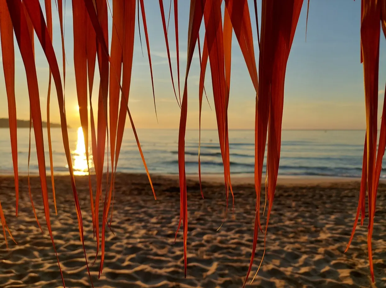 Zalazak sunca na plaži u blizini Sozopola
