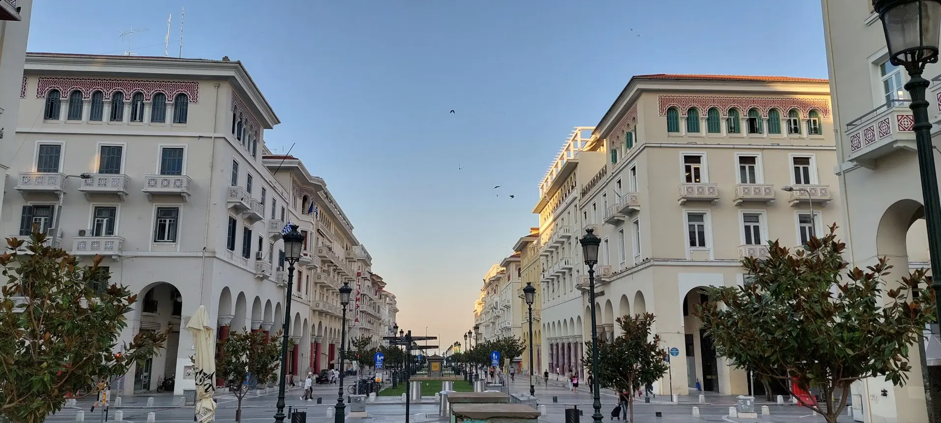 Prazna gradska ulica s drvećem