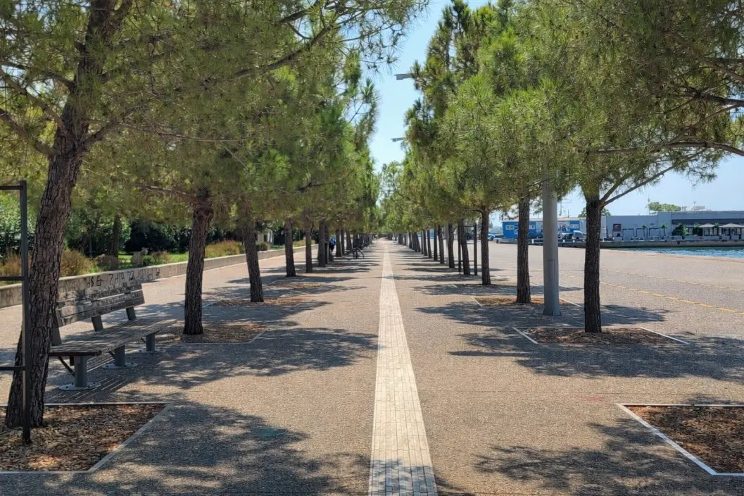 Drveće uz obalnu šetnicu u Solunu