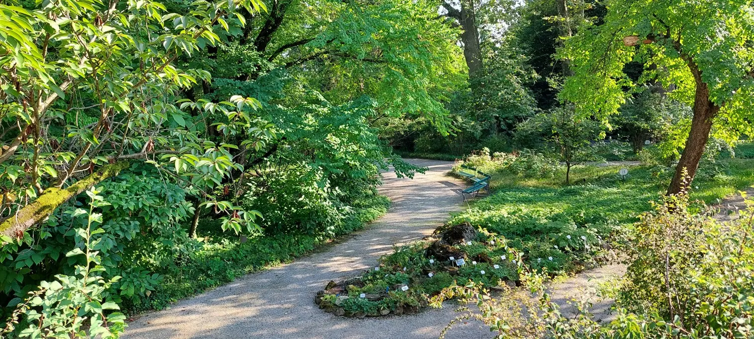 Pješačka staza u prirodi