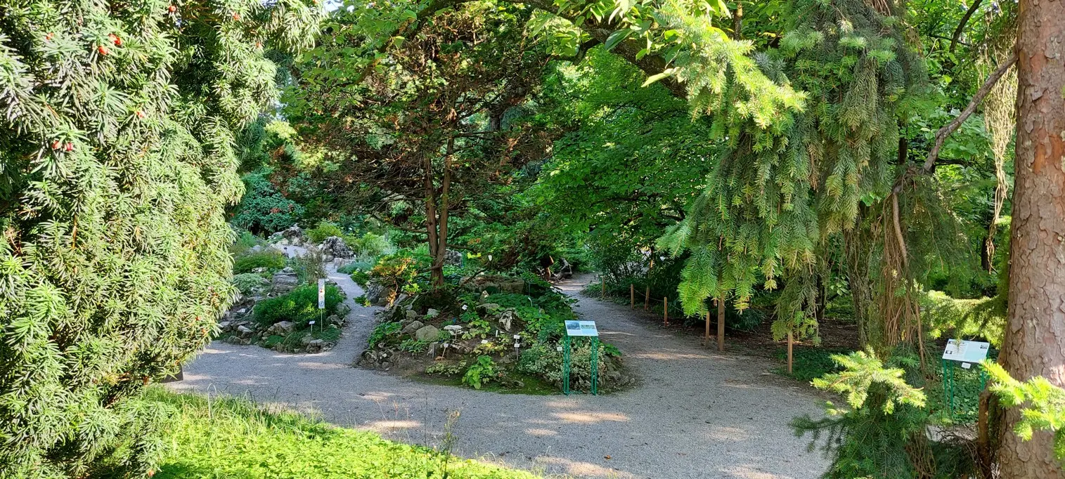 Zasjenjena staza u vrtu