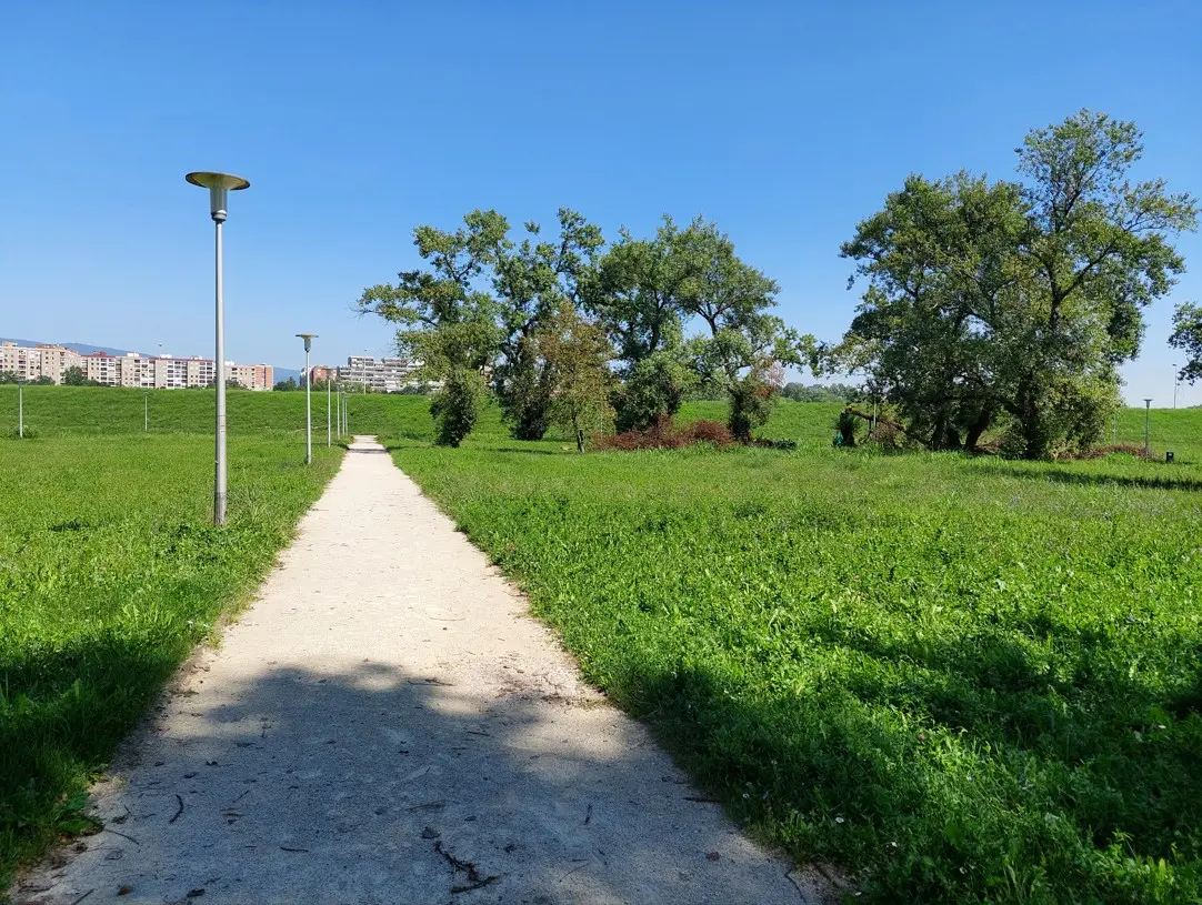 Staze među drvećem