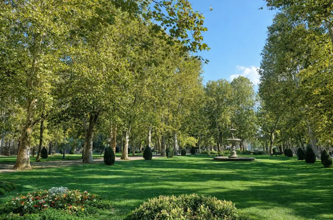 Zeleni park s drvećem